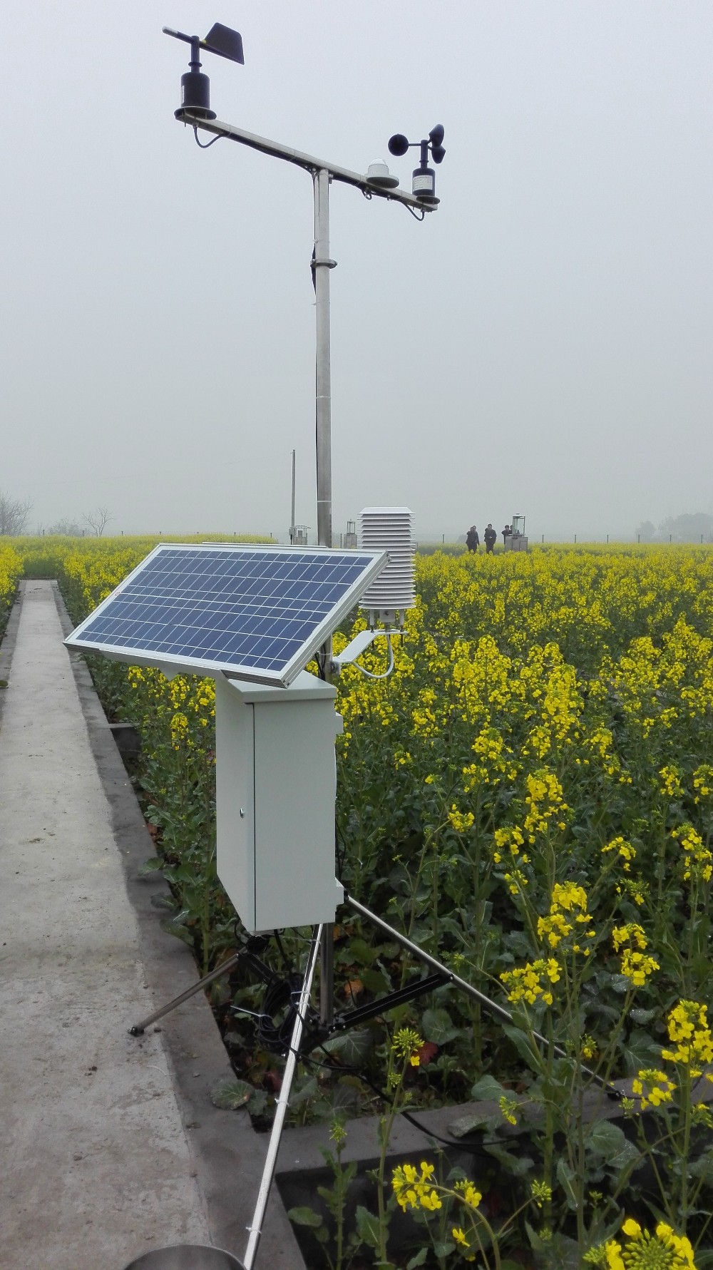 RS232/RS485/4-20mA Output Optical Pyranometer Sun Solar Radiation Sensor 0-1500W/M2