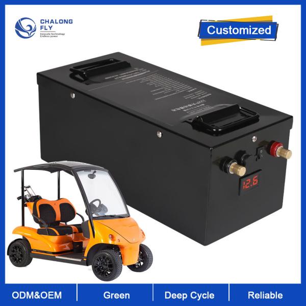 LiFePO4 Lithium Battery Customized 60V 72V Golf Cart Battery 80AH 160AH 300AH