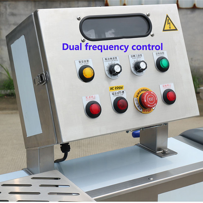 Double Head Electric Rotating 15mm 800kg/H Carrot Dicing Machine