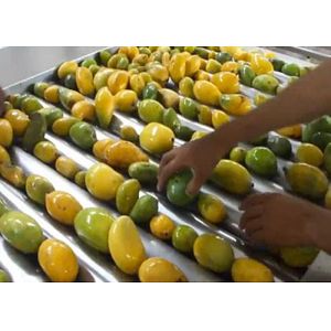 High Efficiency Mango Juice Processing Machine With Safety Protection Processing