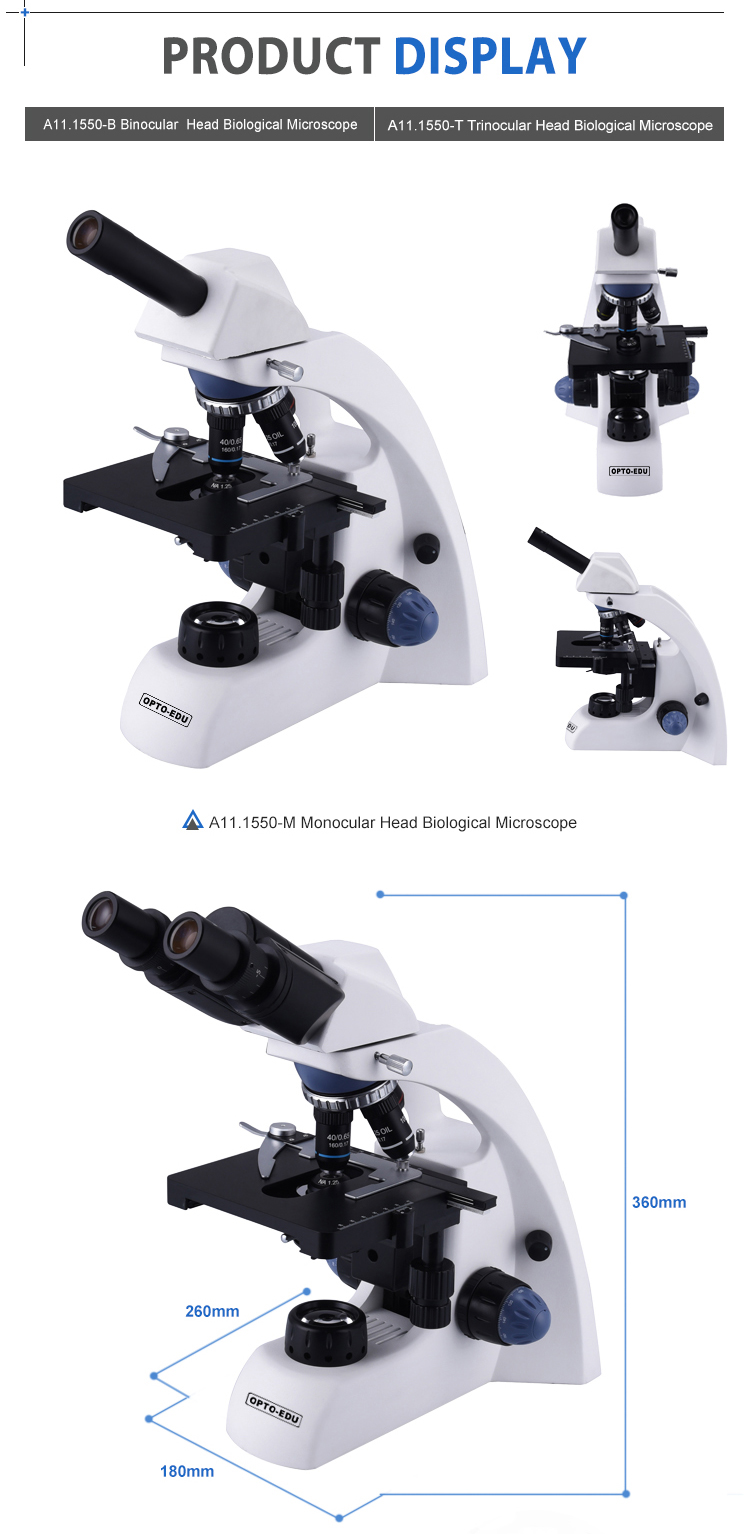 WF10X 18mm Biology Microscope Lab OPTO-EDU A11.1551