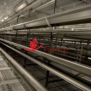  Sufficient Illumination Layer Chicken Cage System Growth Enhancement Manufactures