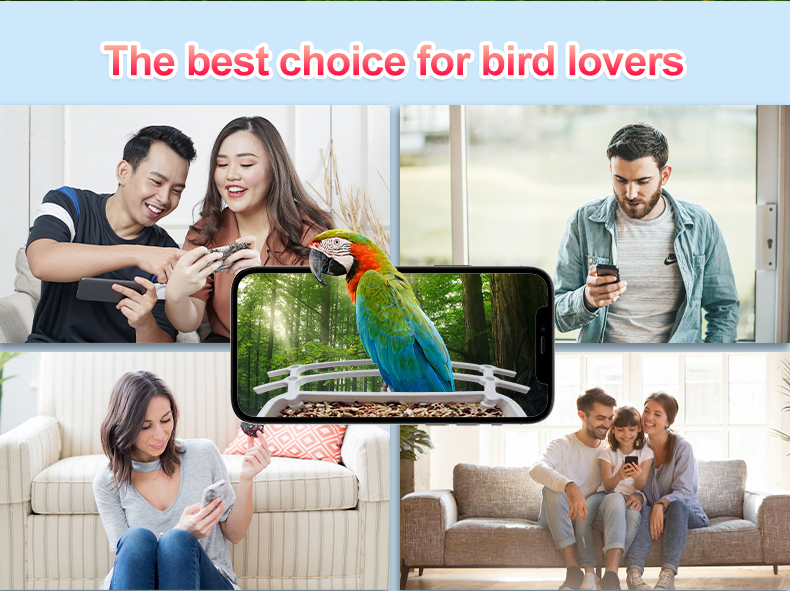 IP66 Waterproof 4MP Smart Bird Feeder 2.5L Wildlife Smart Bird Camera