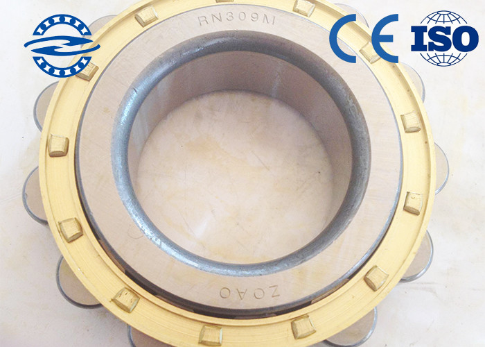 Eccentric cylindrical roller bearing 45*86.5*25mm RN309 for Reducer pendulum piece
