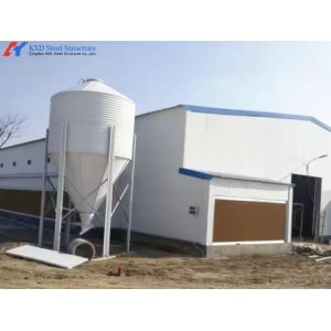 Custom Prefab Layer Chicken House with Automatic Feeding System