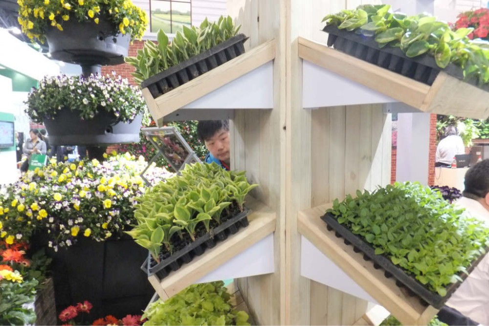 Degradable 105 Cells Hydroponic Plastic Seedling Tray For Gardening