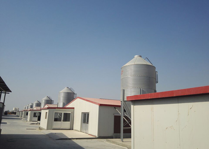 Pig Poultry House Silo Feed Bin 40 degree Roof 1830mm 3660mm dia