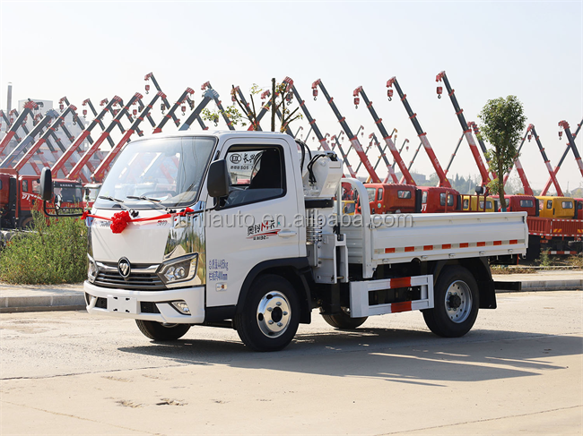 Cheap Price Foton 4x2 Cargo Dump Truck 1000kg Hydraulic Pickup Truck Mounted Crane