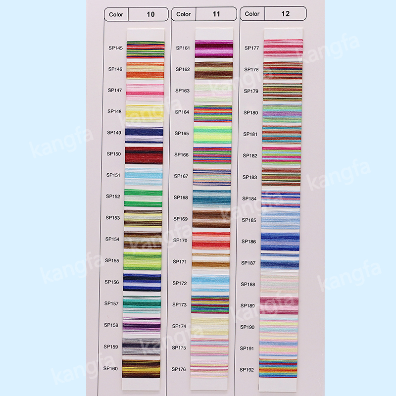 OEM/ODM 96 Colors Variegated Multicolor 100% Polyester Embroidery Thread for Machine Embroidery