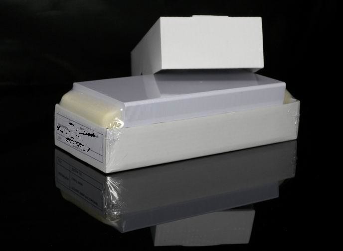 HF RFID Paper Event Tickets Custom Printed With Ultualight EV1 Chip