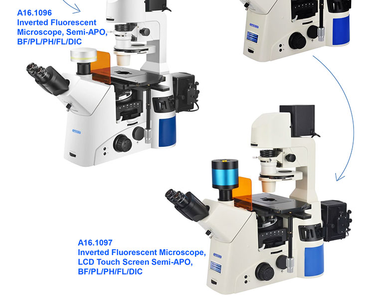OPTO EDU A14.1097 SW10x Inverted Biological Microscope SW10x/22mm