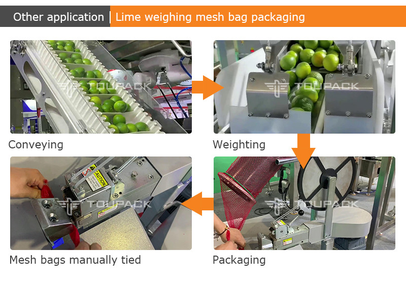 TOUPACK Mesh Bag Fruit Package Machine / Semi Automatic Citrus Net Bag Packaging Machine