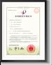 Chengdu Xinlong Zhishi Auto Parts Co., Ltd. Certifications