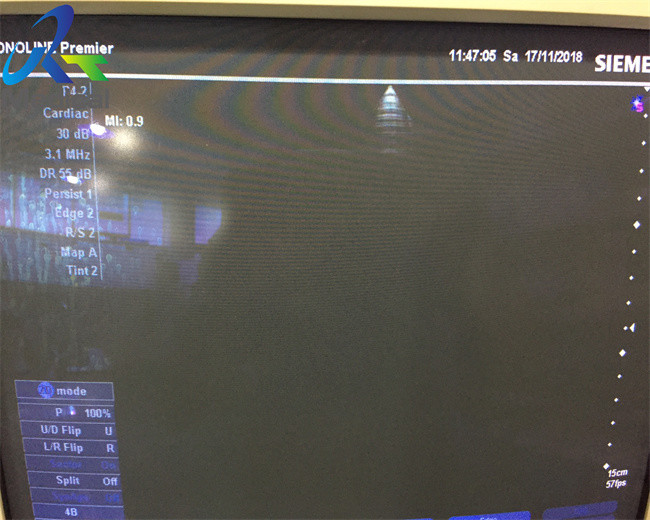 Siemens P4 2 Phased Array Ultrasound Probe Cardiac Transducer No Allergic Reaction