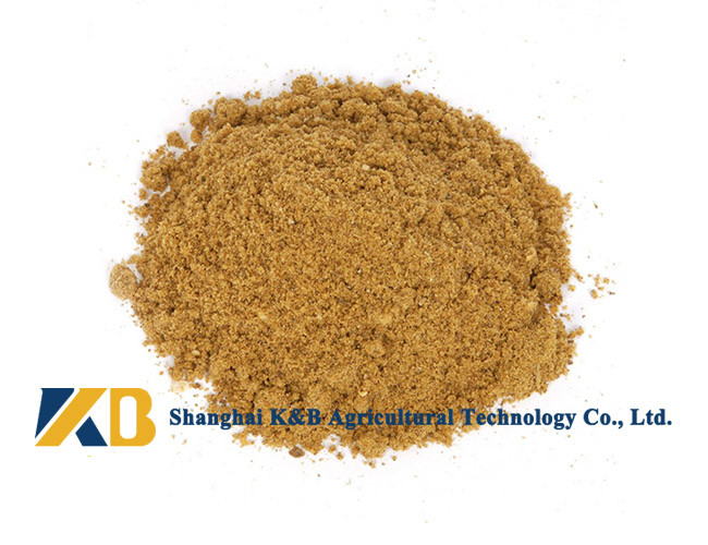 Half Fat High Protein Fish Meals Promote Animal Growth With Feed Grade