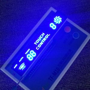 Common Anode 7 Segment LED Display for Commercial Applications