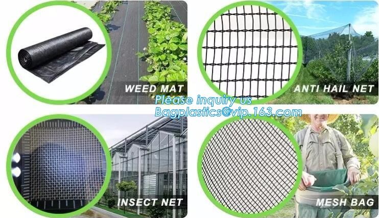 cheap and durable plastic colored anti mosquito netting/window insect screen,Industrial Agricultural Greenhouses use 2m