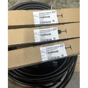 Endress+Hauser Waterpilot FMX21 Hydrostatic Level Transmitter with IP68-Rated