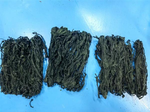 Your Kitchen Staple: Premium Wakame, Dark Green & Delicately Chewy – Endless
