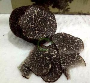China Black Truffle noire Wild perigord truffle Tuber melanosporum organic sliced Hei Song lu on sale
