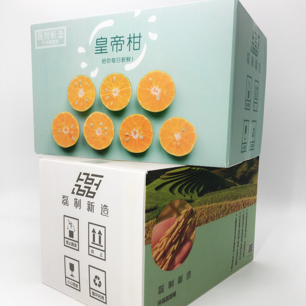 Retain Freshness Corrugated PP Carton Abrasion Resistance