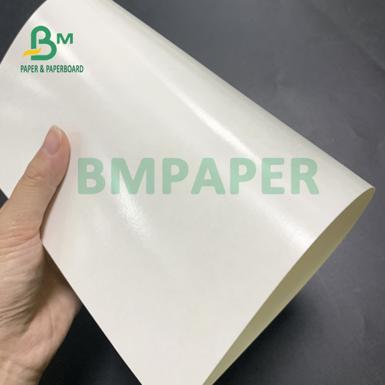 135gsm + 20gsm Polyethylene Coated Cup Base Paper For Soup Bowl