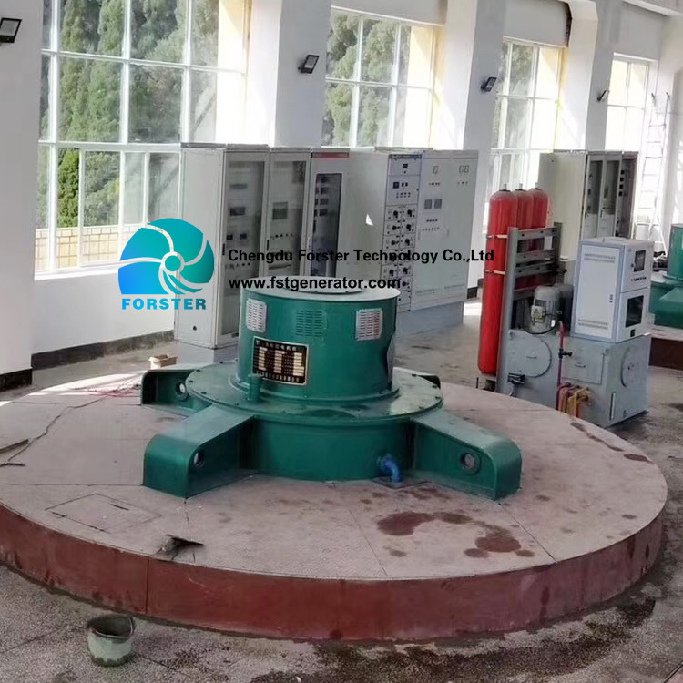 Hydraulic Propeller Turbine 100KW Kaplan Turbine Generator For Low Head HPP