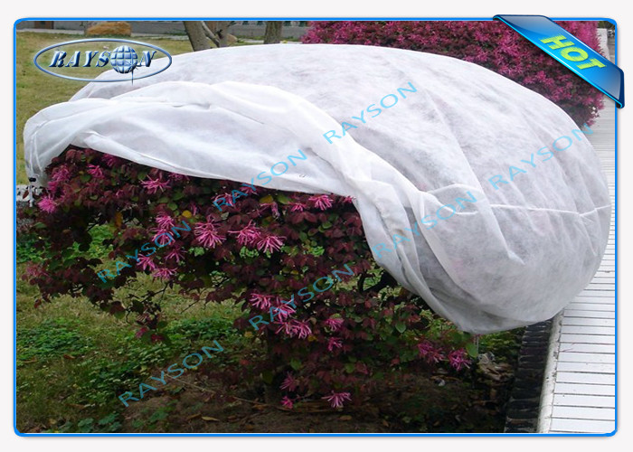 Anti UV Weed Control Garden Mat , Polypropylene Landscape Weed Control Fabric Agriculture Non Woven Cover