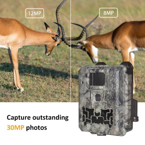 KW561 Trail infra Cam Mini 30MP 0.25s Speed 4K Video Resolution Waterproof CMOS