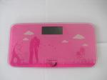 Travel Weighing Scales with CE, RoHs