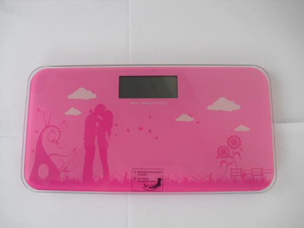 Travel Weighing Scales with CE, RoHs