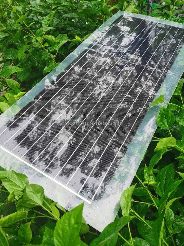 30W 40W 50W 60W 80W Solar Panel PET Semi Transparent Solar Panel 1000V