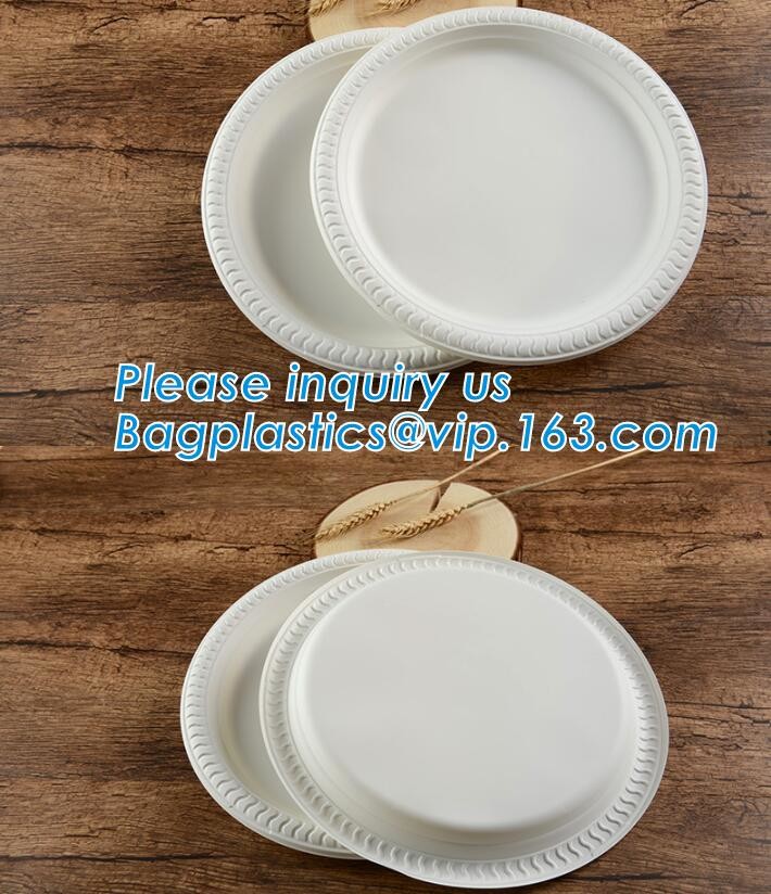 Meal Prep Containers Free Sample Bento Lunch Box Biodegradable Food Container Plastic Wheat Straw Lunch Box bagplastics