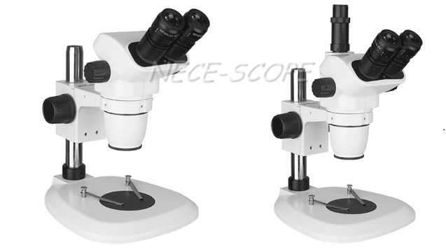 Binocular Compound Diopter Adjustment Microscope For Botany Research