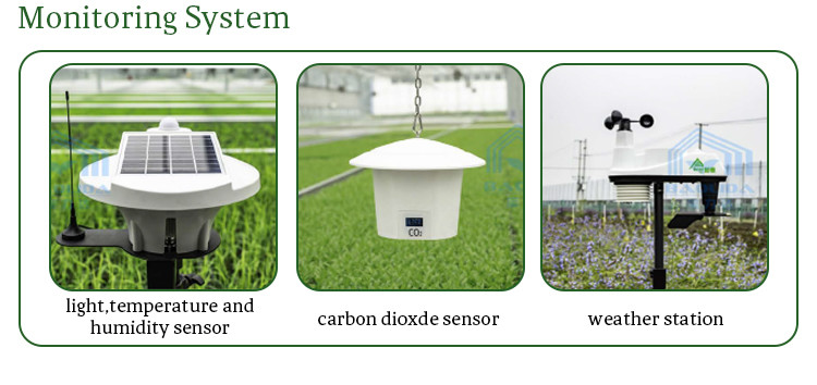 Agriculture Single-Span Blackout Pe Automatic System Greenhouse For Vegetables And Flowers