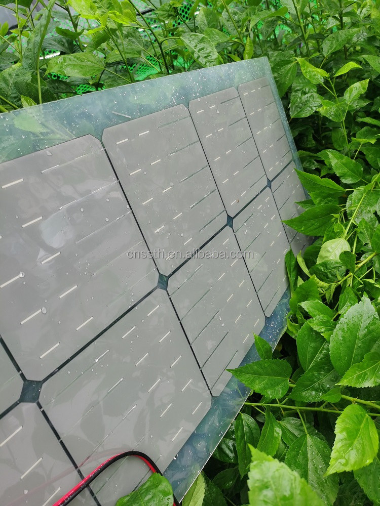30W 40W 50W 60W 80W Solar Panel PET Semi Transparent Solar Panel 1000V
