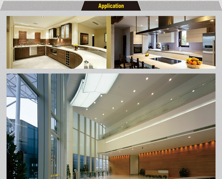 20W ceiling LED lights wholesale