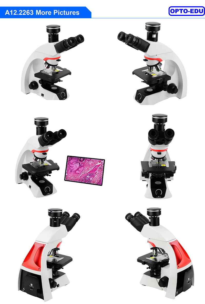 OPTO EDU A16.2263 BGUV Biological Laboratory Trinocular Fluorescent Microscope