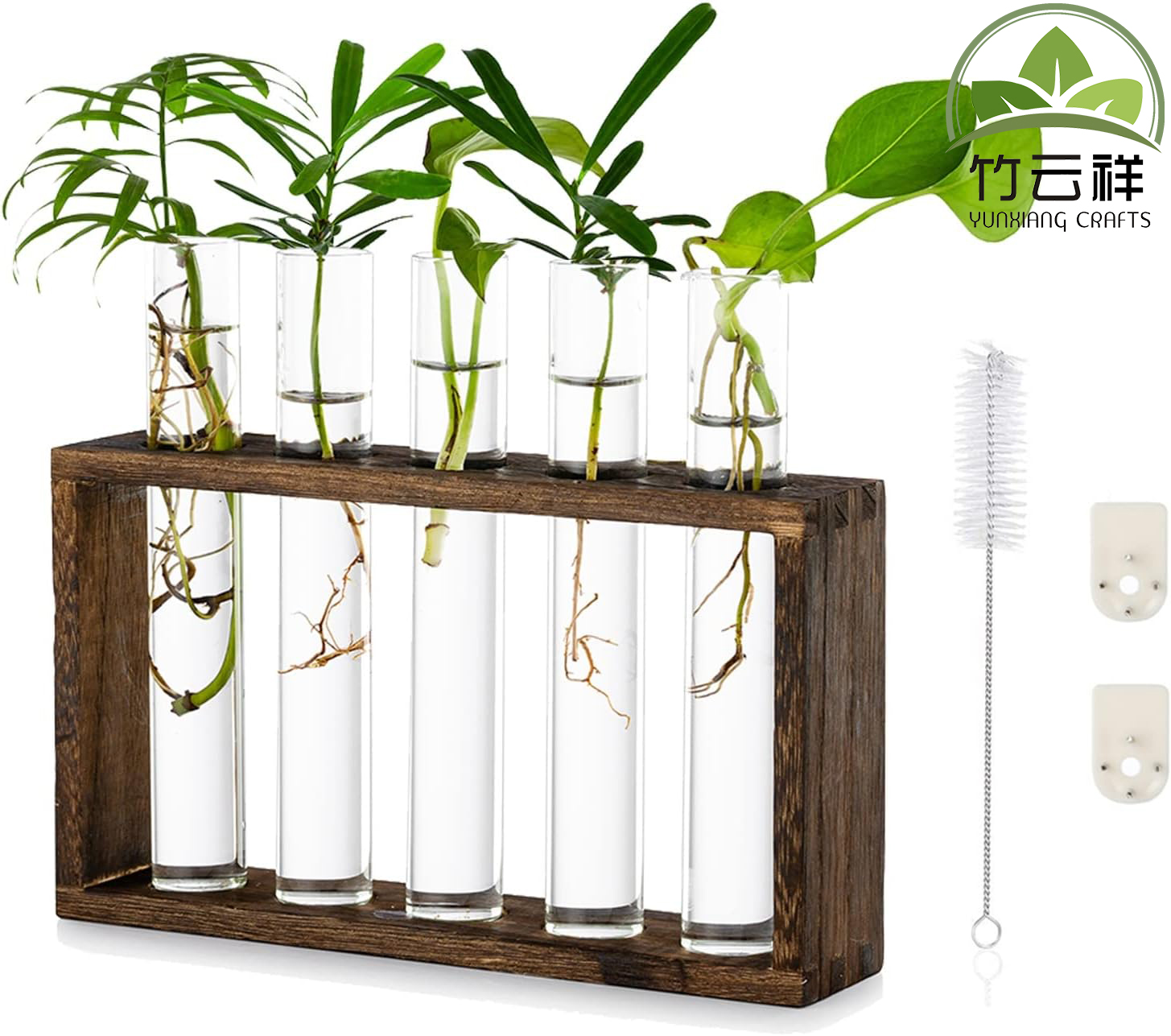 Customized Wood Stand Rack Tabletop Terrarium for Hydroponic Plants Cuttings Office Home Decoration, Gift for Plant Lover