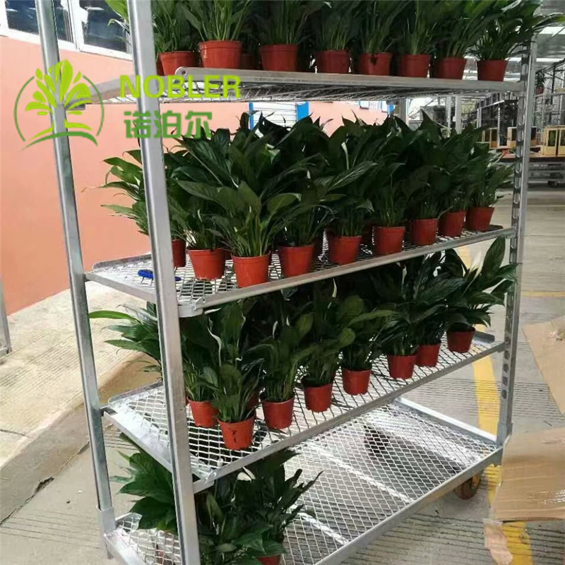 Hand Flower Danish Container Cart Hot Galvanizing Rubber Wheel