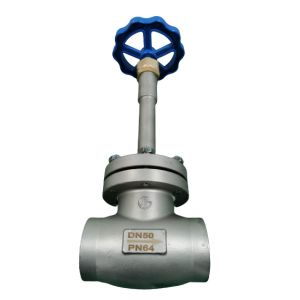 China Cryogenic 304 316 PN65 DN50 Socket Weld Globe Valve on sale