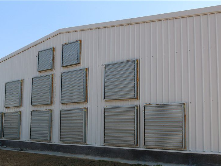 Modern Economical Steel Chicken Farm Customized Color Graphic Design