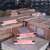 stainless steel Graphite Packing Spiral Wound Gasket Seal Flange Gaskets
