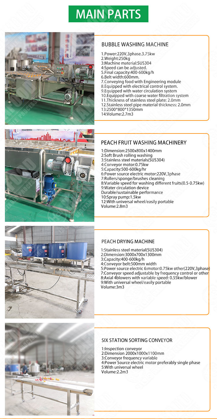 SS304 Vegetable And Fruit Washing Machine Mango Processing Line