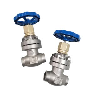  Stainless Steel PN4.0MPa Socket Weld Globe Valve For O2 N2 Manufactures