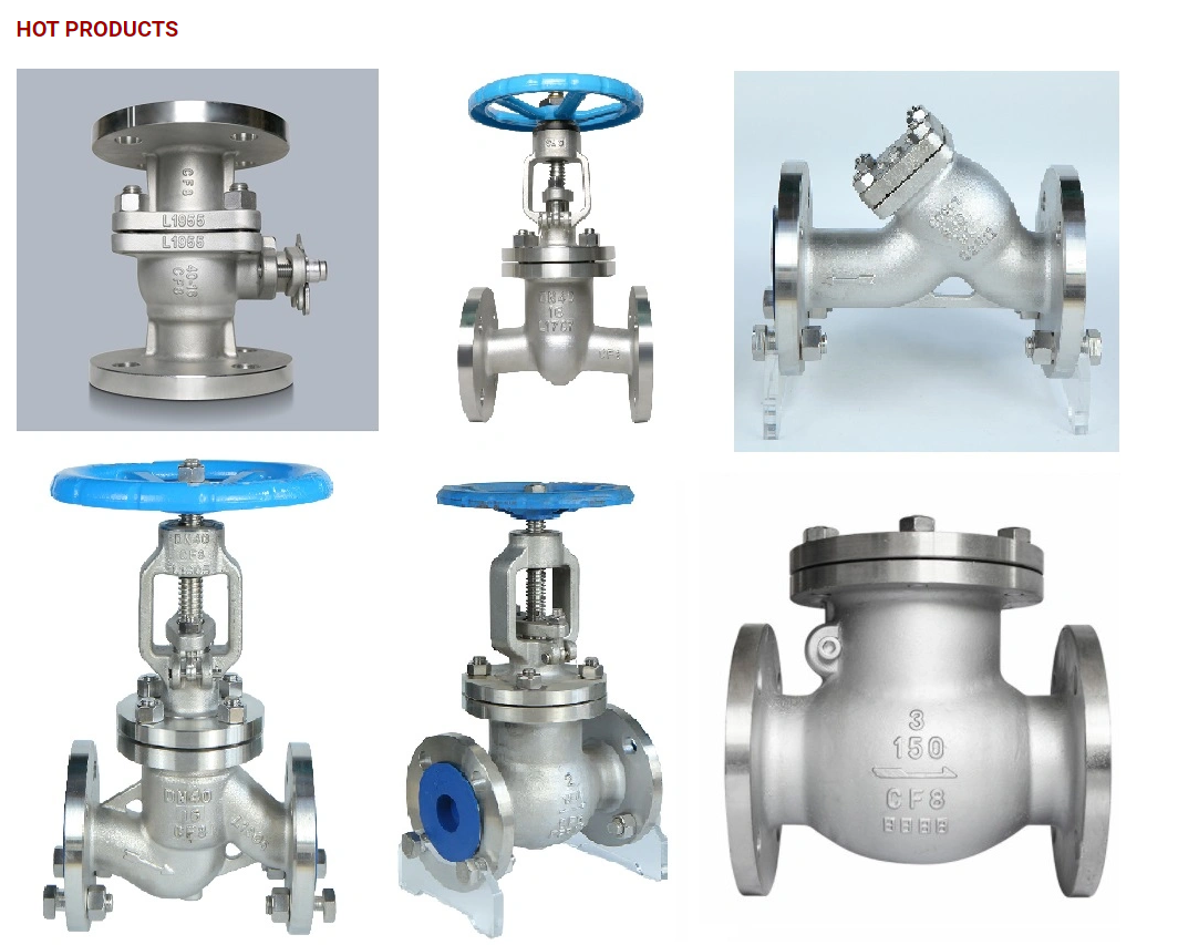 Smooth Drainage ANSI ASTM Stainless Steel Y Strainer with Support After-sales Service