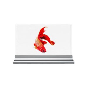  HD Interactive Transparent OLED Display 30in Transparent Digital Signage Manufactures