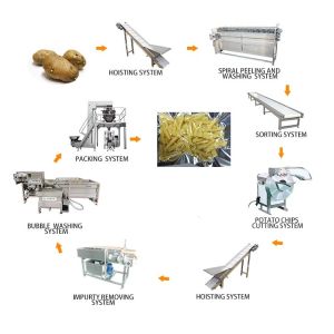 China High Quality Garri Processing Machine Cassava Processing on sale