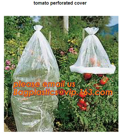 Multi-Span Plastic Film Cover Natural Ventilation Vegetable Greenhouse,Greenhouse Kits Plastic Greenhouse 200 micron gre