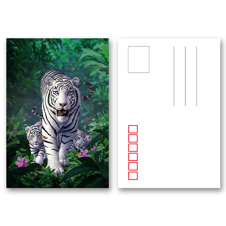 Animal 3d Lenticular Postcards / Custom Lenticular Cards Tear - Proof